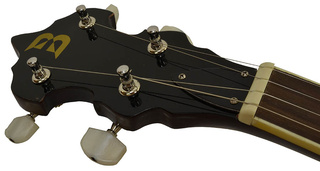5 String Banjo with Protective Padded  